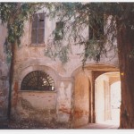 6.	Il cortiletto interno. In primo piano uno dei due tassi secolari tuttora presenti.